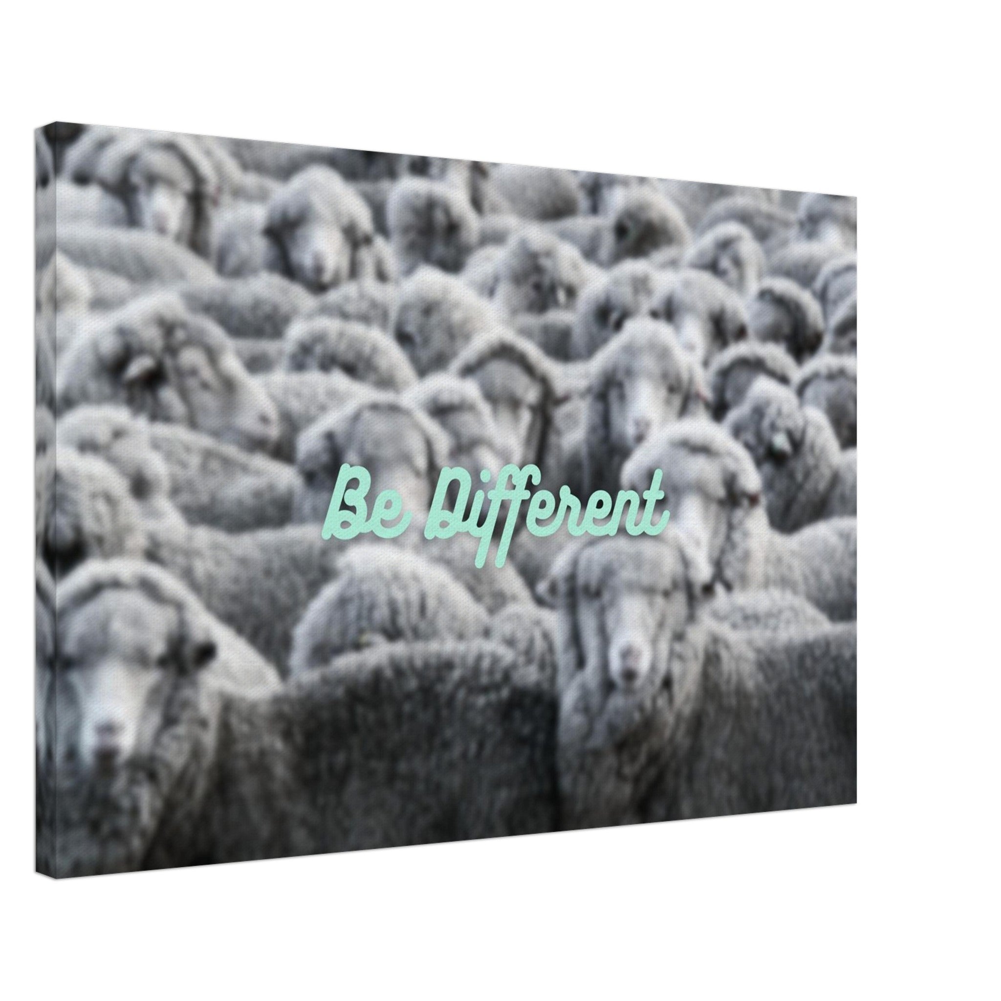 88f38937-54f6-4267-84f0-a15b206b5237