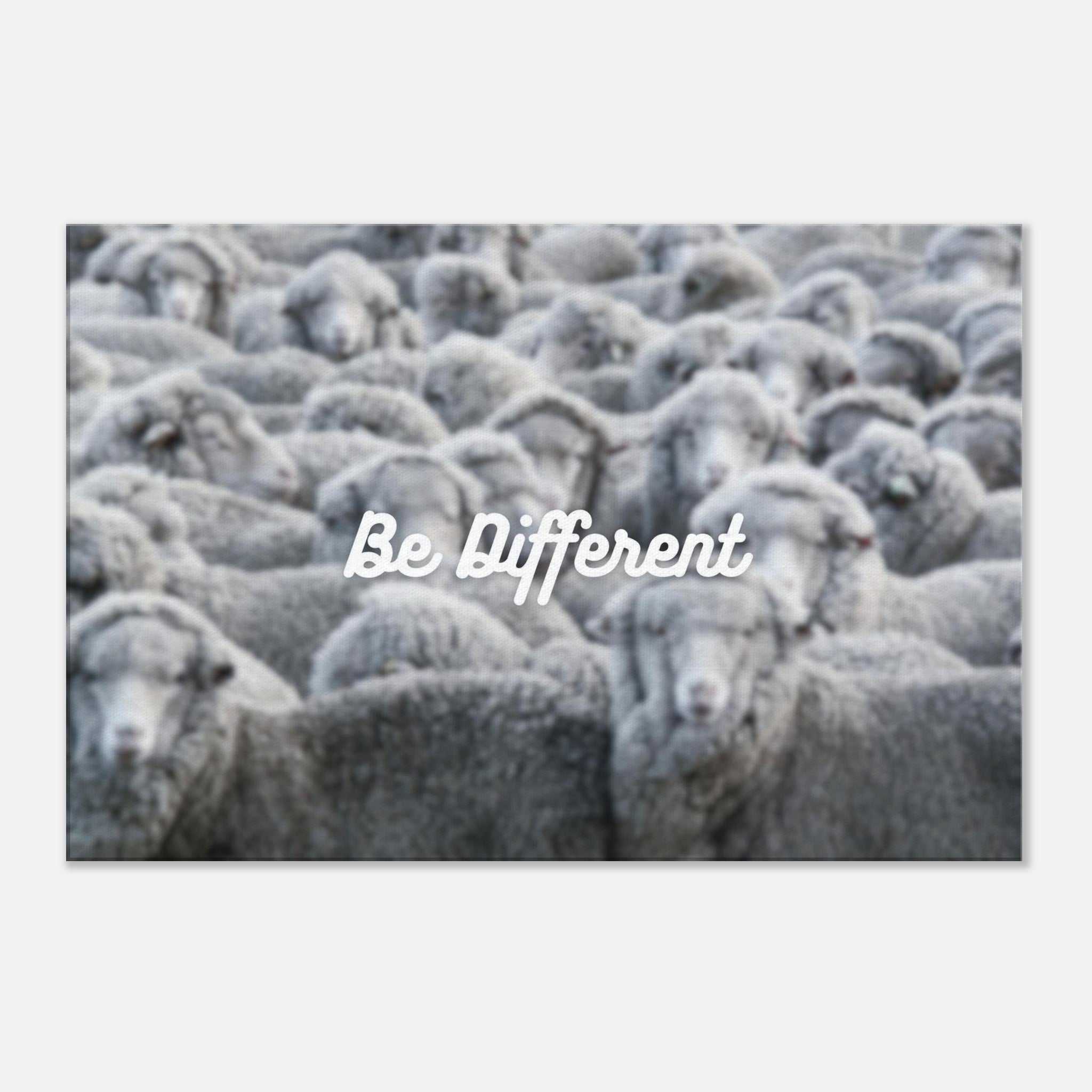 ae440c89-5fb7-480c-a0aa-3ce9ab06f462