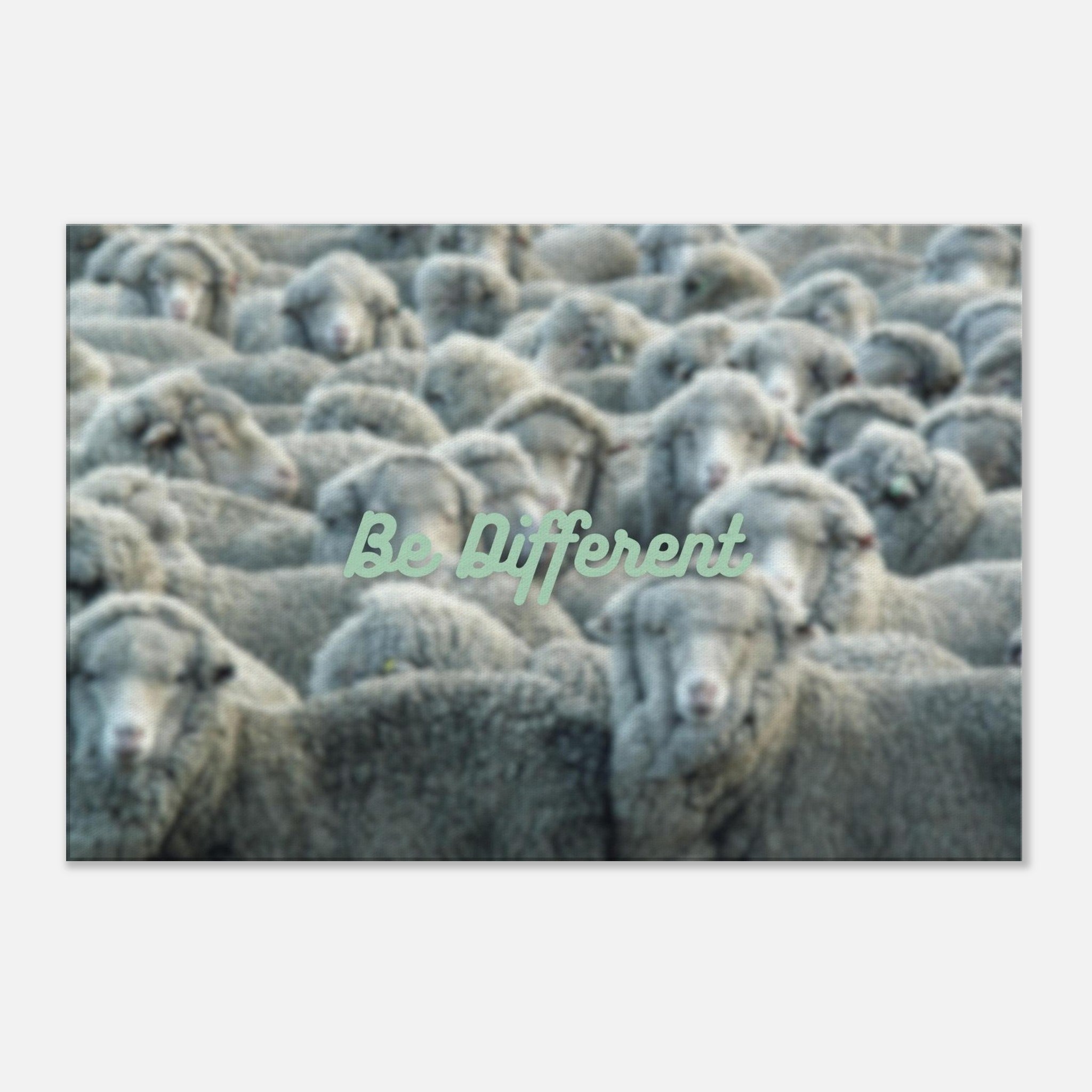 cd08ef2a-6d9f-498b-bde4-b82f2a6c205c