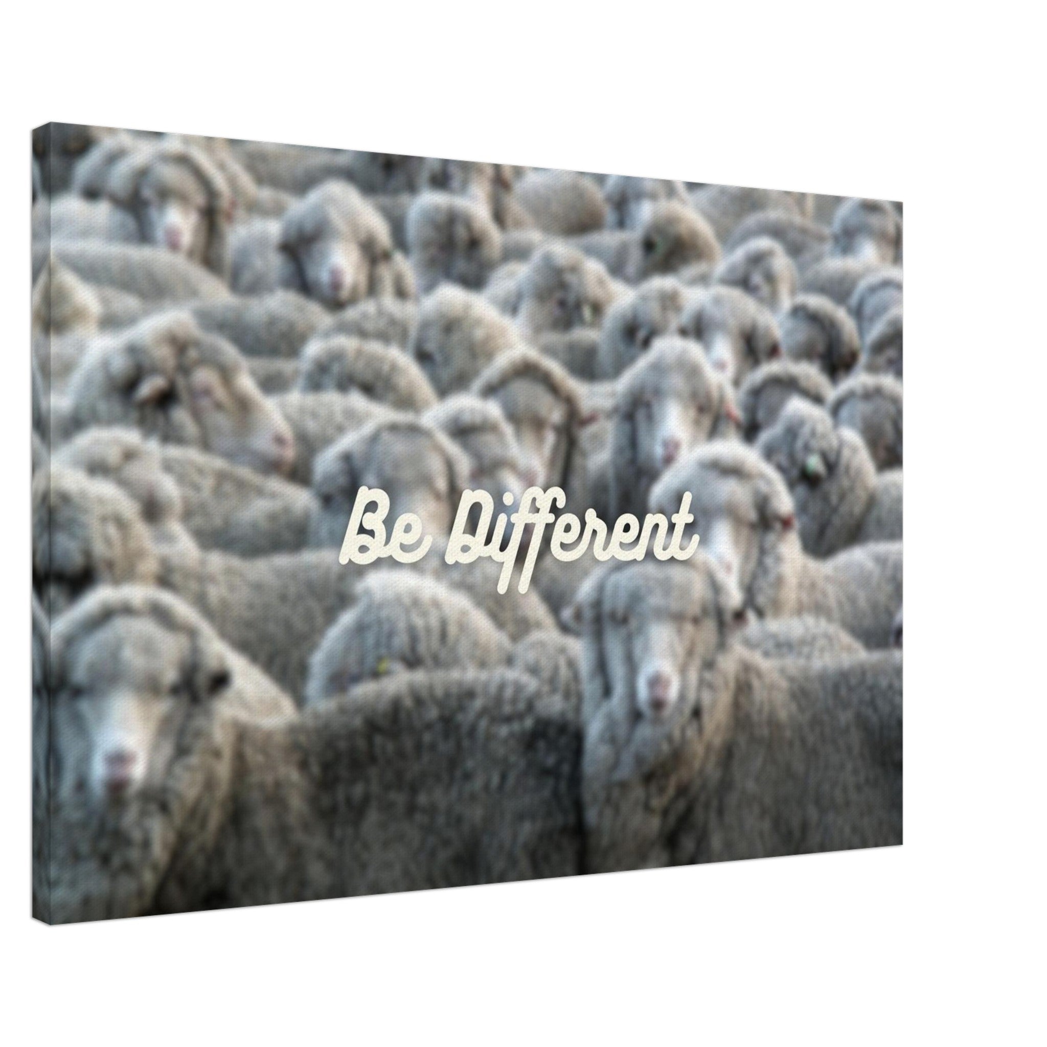 d30bea6e-fa56-49ba-88c5-b3c35daa6e9b