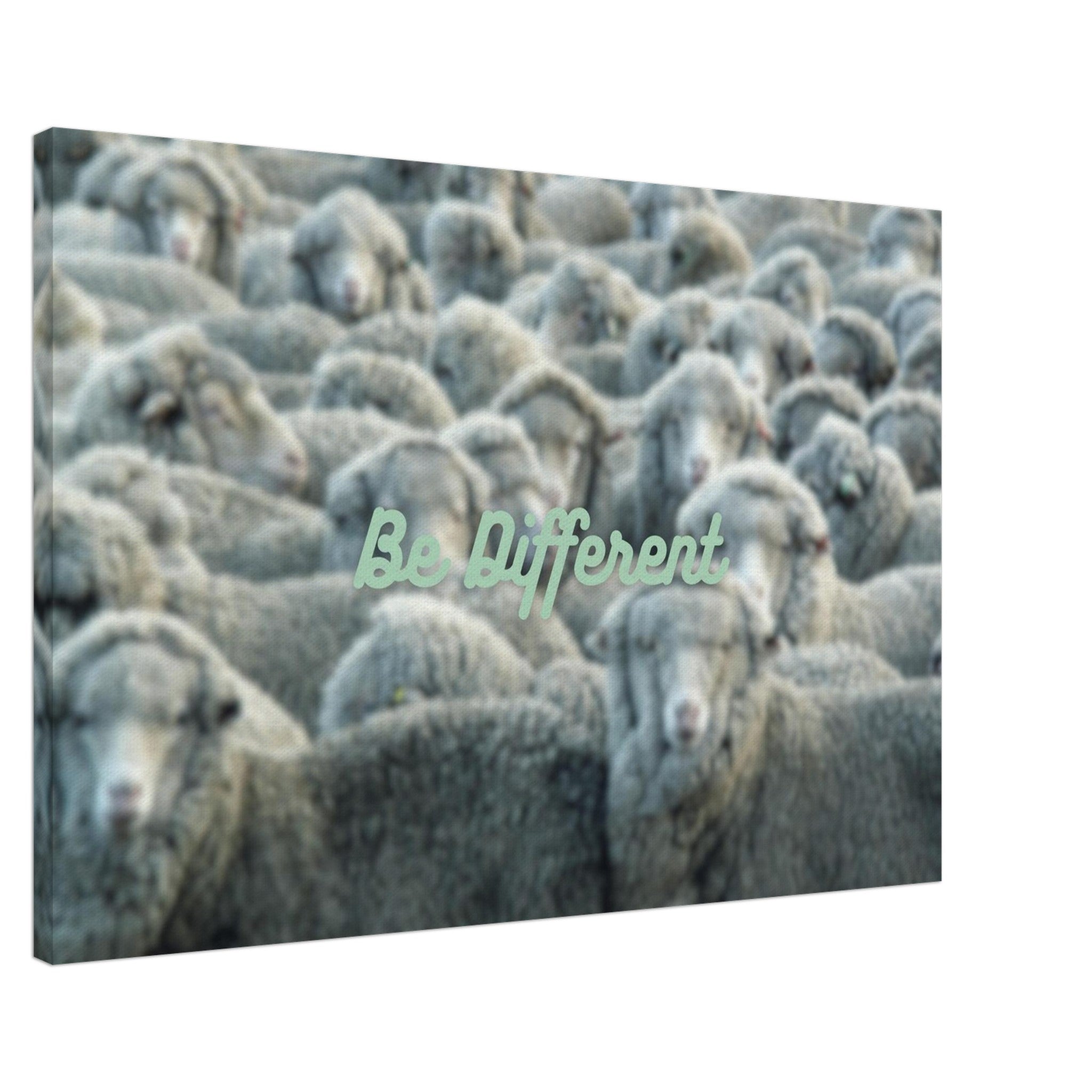 f1662456-7749-4052-a026-b39e0d47fb64